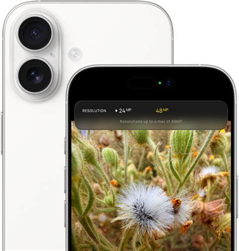 Apple Iphone 17 Specs, Features, and Value: Is it worth the price tag?